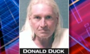 Donald Duck Arrested for Drunk Driving
