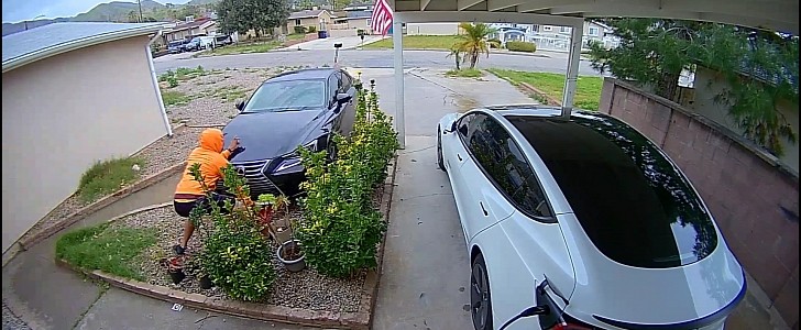 Door Dash delivery driver has runaway Lexus on ViralHog