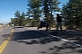 Downhill Skateboarder Hits Reindeer at Over 70 Km/h