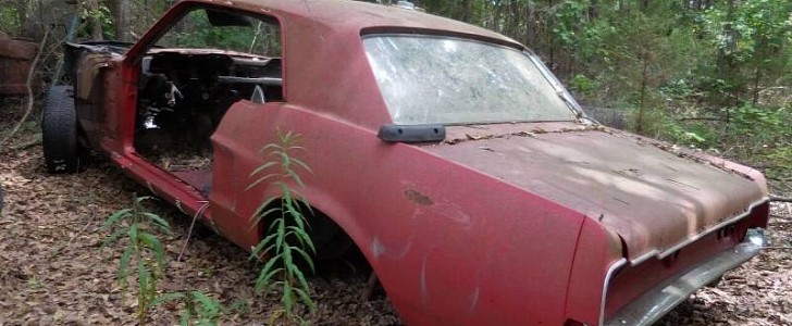 Classic Ford Mustang rotting away