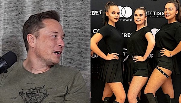 Elon Musk's Halloween party has 140 guests, Dracula's Girls among them