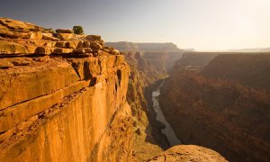 Driver Jumps into the Grand Canyon, Lives to Tell the Tale