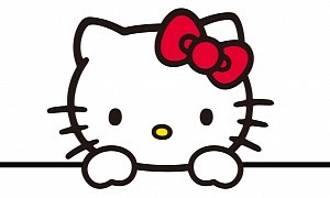 Drunk Woman Flips Her Car, Identifies Herself to Police as Hello Kitty