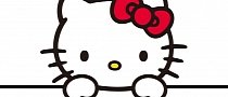 Drunk Woman Flips Her Car, Identifies Herself to Police as Hello Kitty