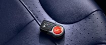 DS 3 Ines de la Fressange Limited Edition Has Bambi Printed On The Key Fob