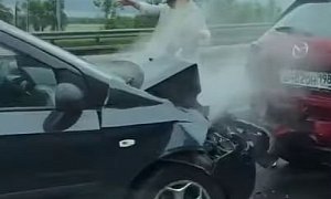 Ducks Cause Accident, Chaos on Motorway in Russia