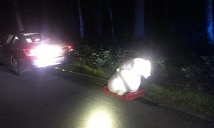 Dude Tows Stuffed Bear on Plastic Crate, Is Predictably Pulled Over