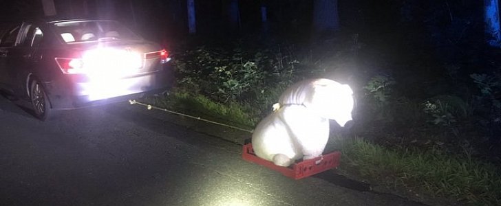 Honda Accord driver tows stuffed bear on makeshift trailer, is pulled over