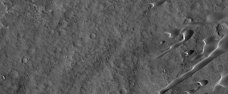 Dark dunes on the surface of Mars