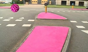Dutch Town Gets Pink Traffic Islands: a Cute Mistake