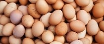Eggtastrophe: 136,000 Eggs Spill from Semi Onto the Highway in Pennsylvania