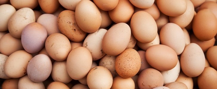 Load of eggs and egg product shift from semitrailer, spill in Pennsylvania