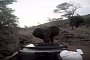 Elephant Attacks Toyota Land Cruiser During Safari, High Speed Chase in Reverse Ensues
