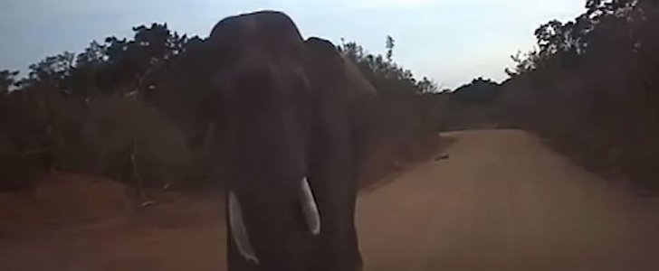 Elephant attacks car, chases after it in Sri Lanka