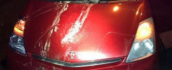 Totaled Toyota after female elk walked on it, fell through the windshield