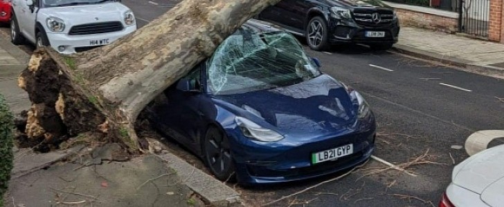 Tesla Model 3 Under Fallen Tree