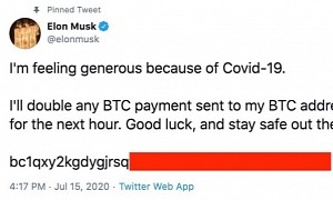 Elon Musk Listed Among High-Profile Targets of Twitter Crypto Scam