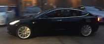 Elon Musk Says Tesla Model 3 Is Just A Smaller Model S, Publishes Video of It