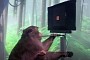 Elon Musk’s Neuralink Shows Video of a Monkey Playing Pong with Its Brain