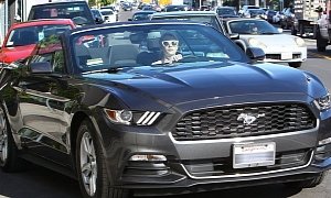 Emma Roberts Seen Driving Her 2015 Ford Mustang Convertible, Goes Shopping