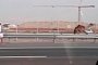 Escaped Camel Running Down the Motorway Seems Normal in Abu Dhabi