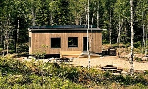 Esther Is a Spacious Off-Grid Tiny Home in the Middle of a Swedish Forest