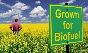 EU Limits Production of Biofuels Made From Food Crops