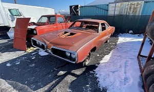 Extremely Rare 1970 Dodge Super Bee Spent Decades in a Backyard, Gets Saved