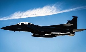 F-15E Strike Eagle Flexes Panther Muscles Over the North Sea