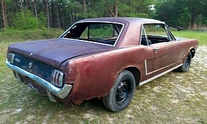 F-Code 1965 Mustang Needs More Than a TLC Overdose, Likely Sitting for Decades