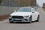 Facelifted Mercedes-AMG GT Four-Door Coupe Looks Even More Snake-Like