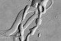 Features Come Together to Form Weird Abstract Sculpture on the Surface of Mars