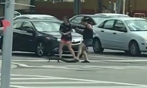 Female Drivers Stop Traffic to Help Gator Cross the Street