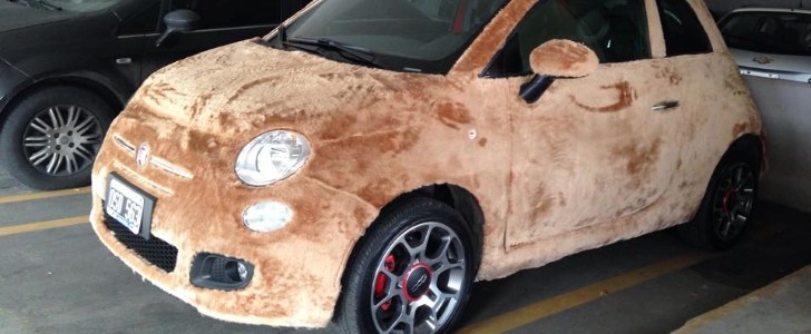 Fiat 500 Wrapped in Fur Spotted in Argentina, Looks Like a Labrador