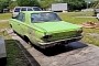 Filthy 1966 Dodge Dart Gets First Wash in 25 Years, Doesn't Look Half Bad