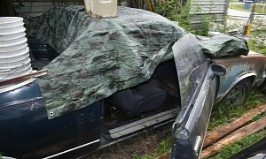 Final-Gen Chevrolet El Camino Found Sleeping Under a Tarp, Still Alive