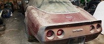 Finding a Reason to Save This Abandoned 1981 Corvette Is Mission Impossible