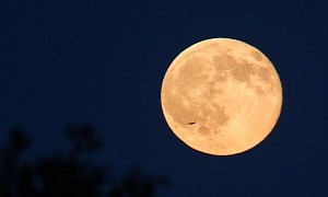 First Full Moon of 2022, Known as the Wolf Moon, Will Put on a Show Tonight
