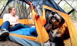 First Tent Ever To Offer a Separate Section for Your Dog Makes Hiking More Fun