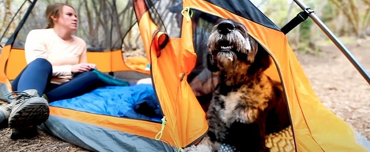 Kings Peak Tent for You and Your Dog