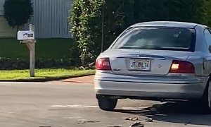 Florida Dog Does Donuts in Reverse for 1 Full Hour, Doesn’t Crash