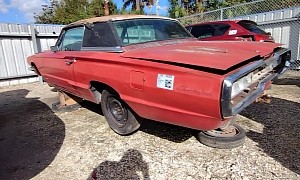 Florida Eats Cars: Rotten 1966 Thunderbird Landau Is a Heart-Melting Corrosion Victim