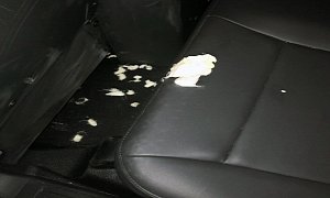 Florida Man Chews up Seat of Police Cruiser During Wild Cocaine Arrest