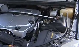 Florida Man Finds Snake on His Car Engine, Goes “Crazy”