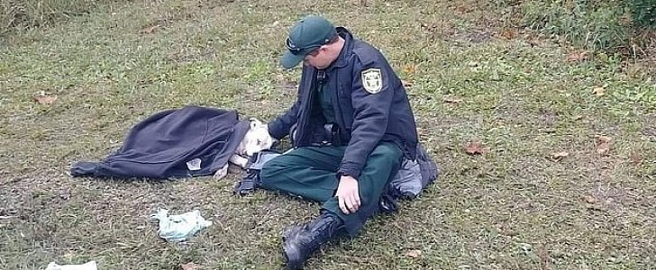 Florida trooper comforts dog hit by car  