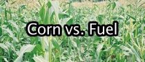 Food vs Fuel: Myth Busted
