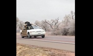 Ford Crown Victoria Goes Undercover, Becomes the Most Unlikely Longhorn Carrier