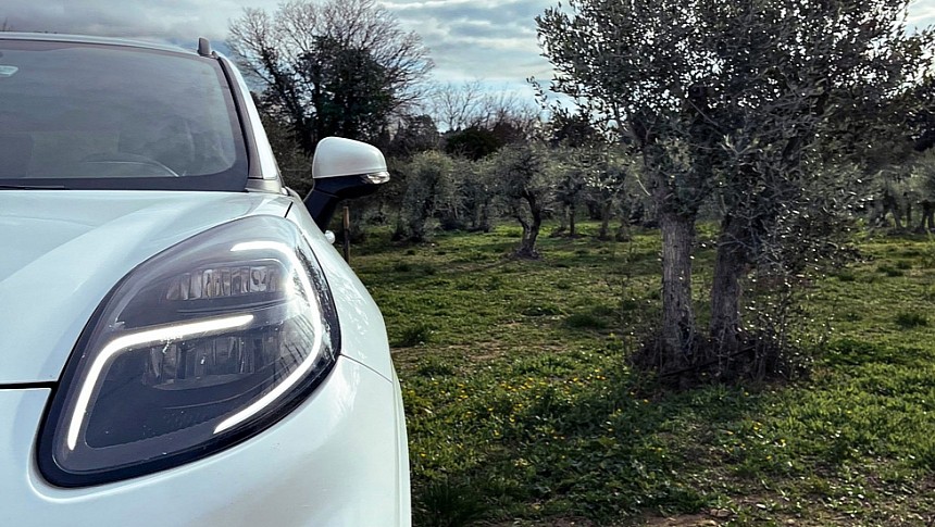 Ford will use olive tree waste to make car parts