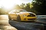 Ford Mustang Boss 302 Is Really Loud, Might Make Your Ears Bleed