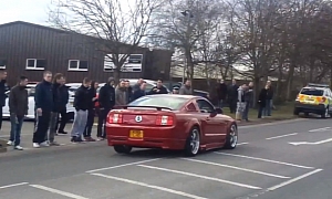 Ford Mustang Crashed Into Tree by Unworthy Owner